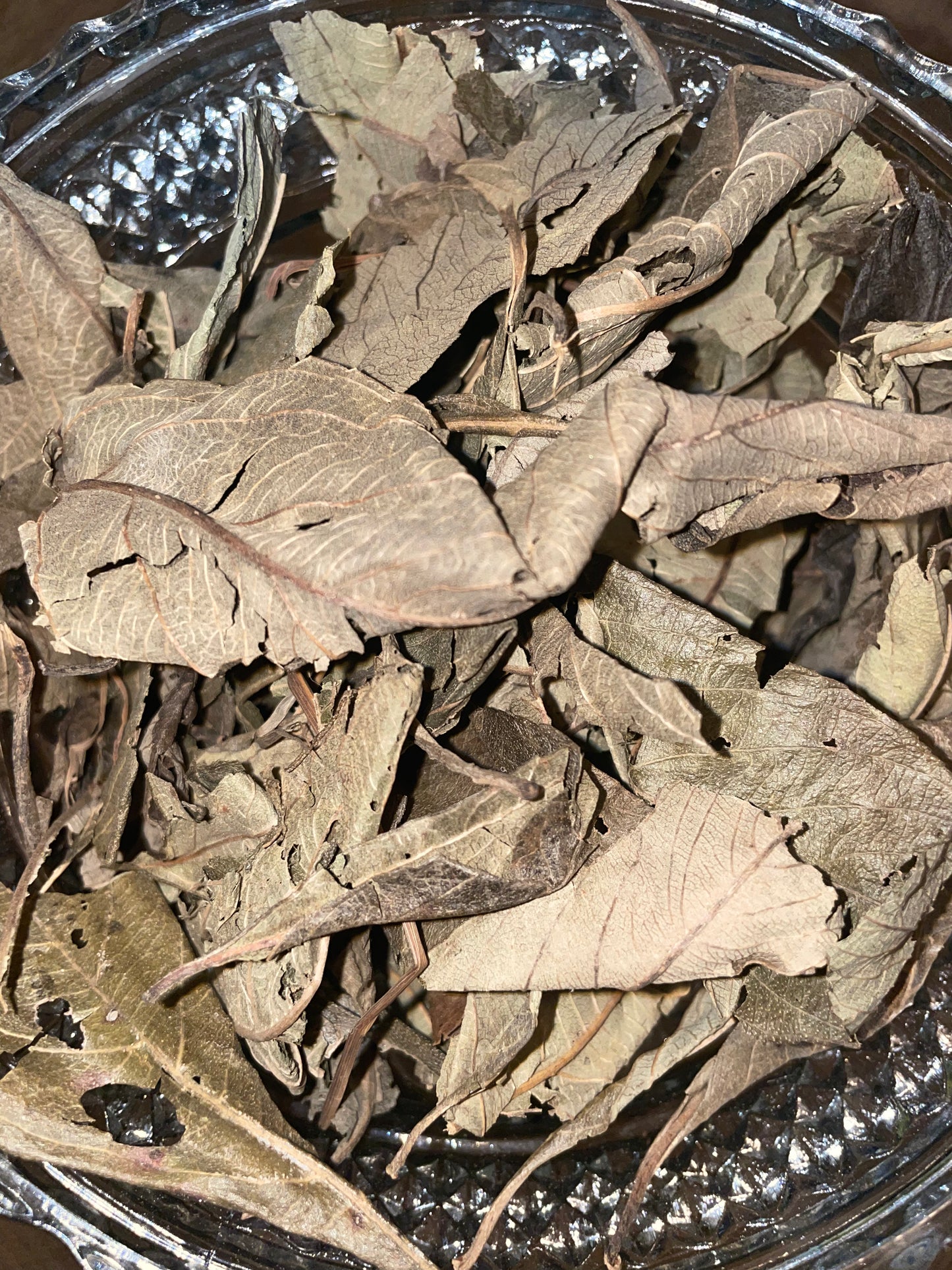 Kinkeliba AKA Seh-haw THE HEALTH TREE ORGANIC