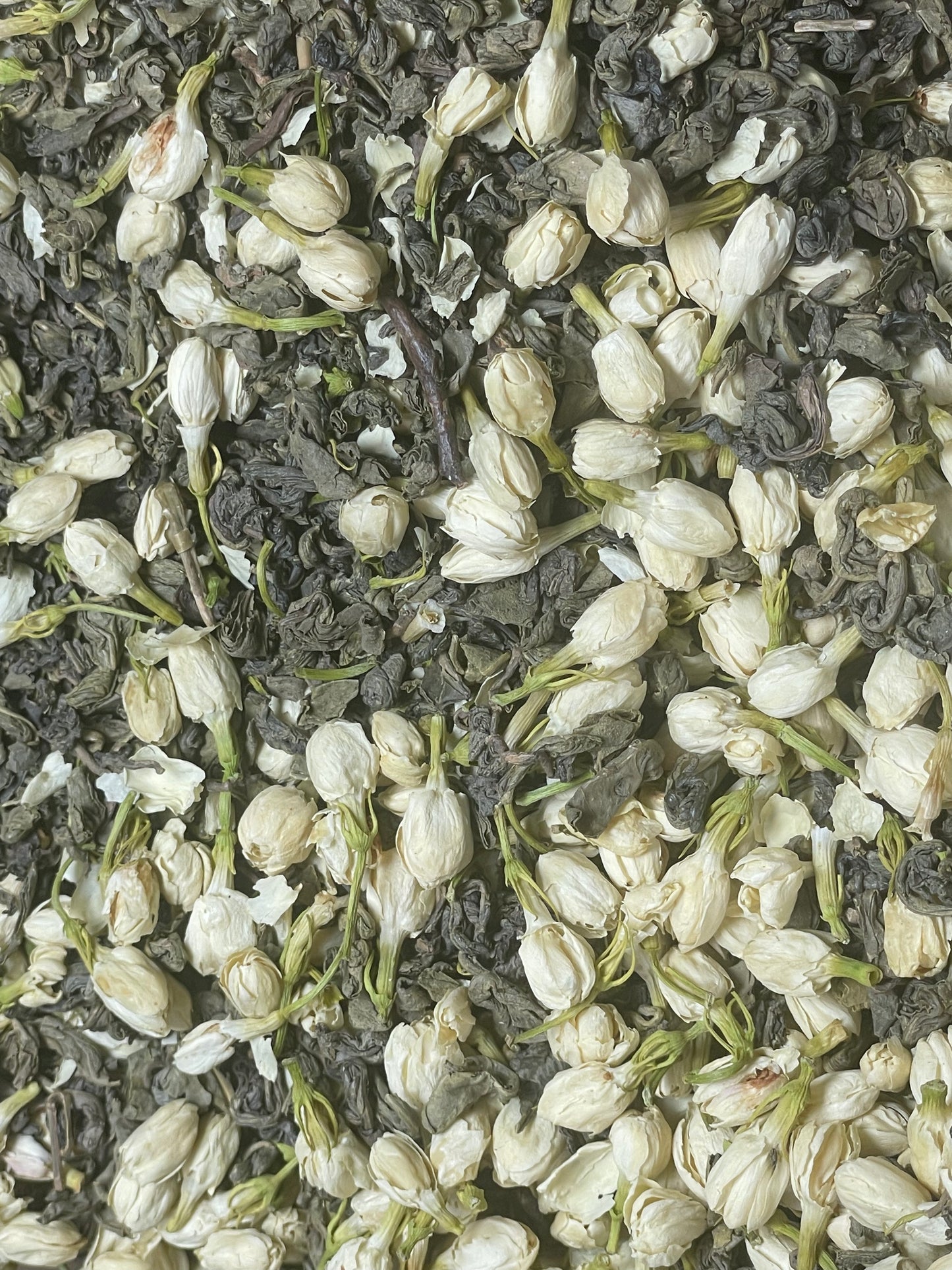 Jasmine Green Tea