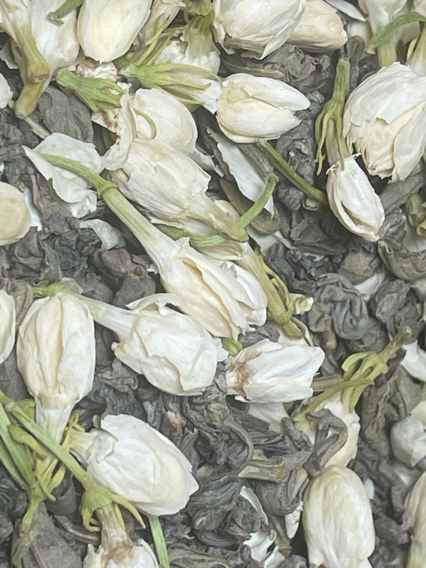 Jasmine Green Tea