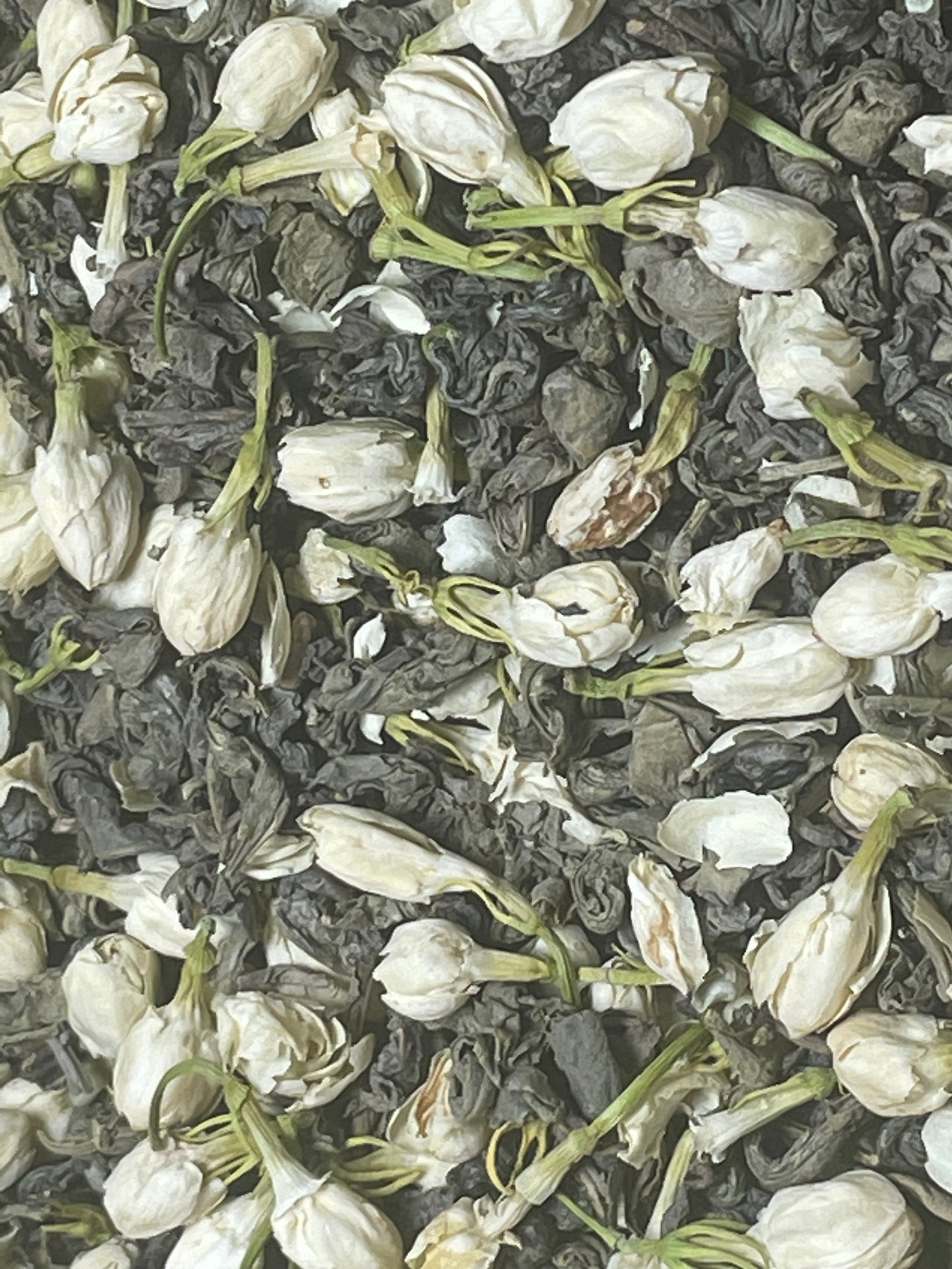 Jasmine Green Tea